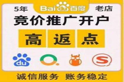 某公司信息流广告的精准投放与效果评估
